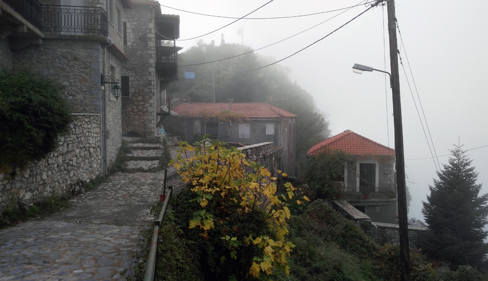 Ampeliona, Chestnut Festival